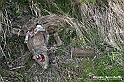 VBS_3289 - Mango (Cuneo) - Gnomovia